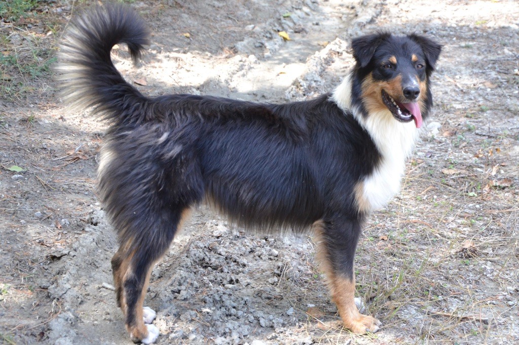 Violetta De L'Hubac De Lange